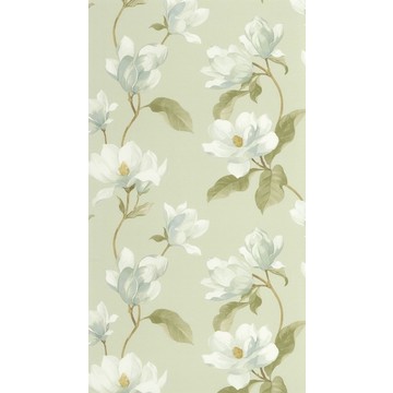 Brume de Magnolia BJAR 20254 72 02
