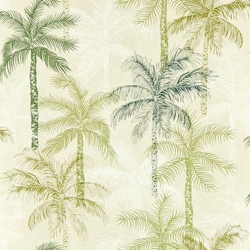 Palmyra Palm W0189/04