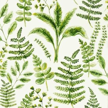 Bracken Forest W0156/02