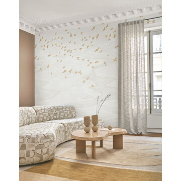 migration 76730406-amb