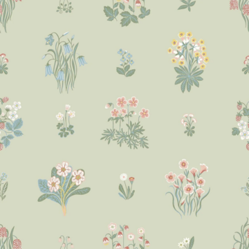 Ängsflora 6950