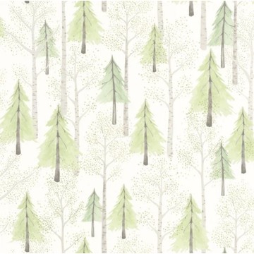 Walk in The Forest OUAT 8824 73 56