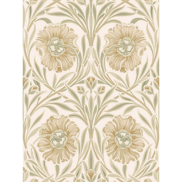 CASAMANCE_70370100 ISADORA