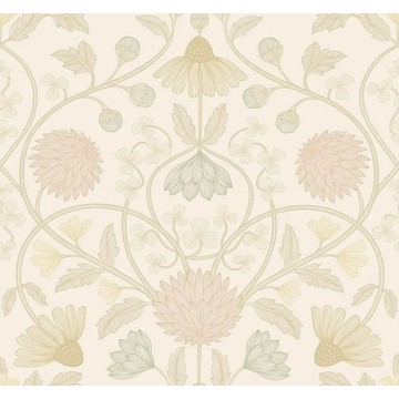 CASAMANCE_70450508 HIPPOLYTE