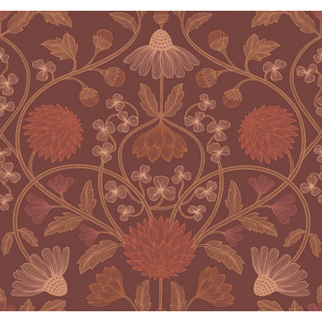 CASAMANCE_70450814 HIPPOLYTE