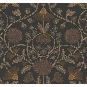 CASAMANCE_70450916 HIPPOLYTE