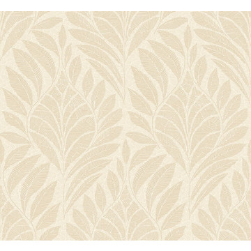 CASAMANCE_74772548 GUSTAV small