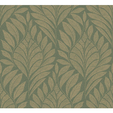 CASAMANCE_74772752 GUSTAV small