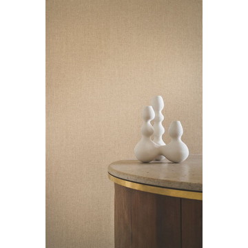 vannora 76921732 amb (2)