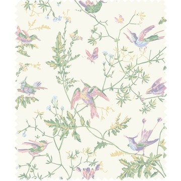 Cole_SonSelectionofHummingbirdsCottonF125-3009_flat
