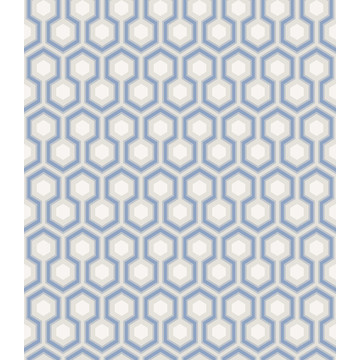 Hicks' Hexagon 66/8054 