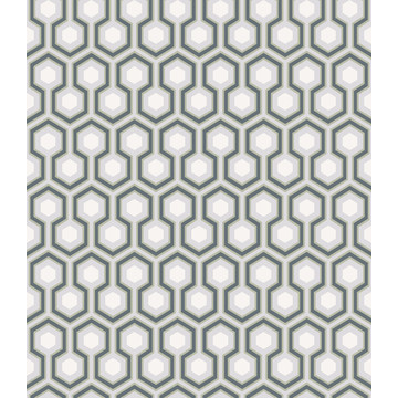 Hicks' Hexagon 66/8055 