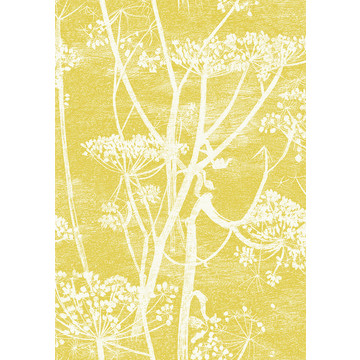 Cow Parsley 95/9053
