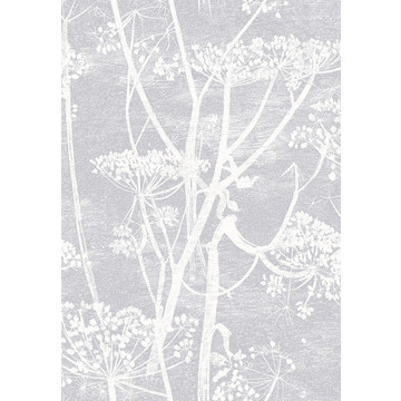 Cow Parsley 95/9049