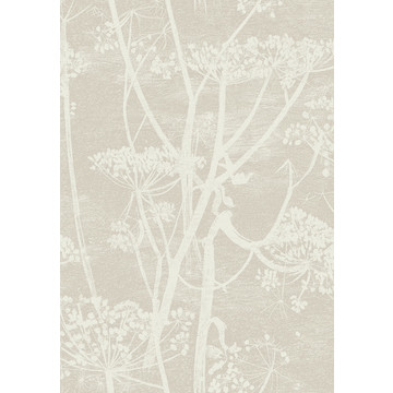 Cow Parsley 95/9051