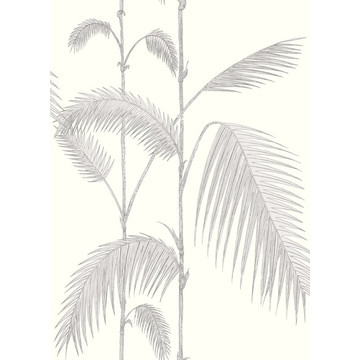 Palm Leaves 95/1008