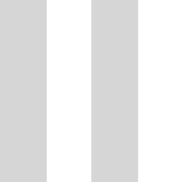Riga Silver 15561