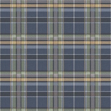 Tartan Navy 15579