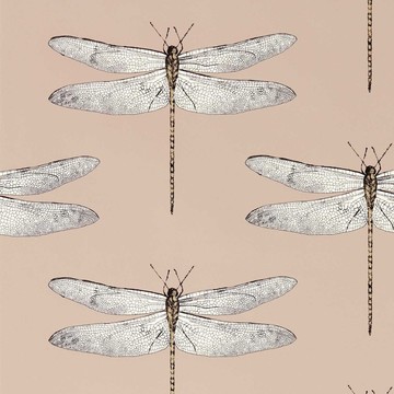 Demoiselle Positano/First Light/Taupe 113142