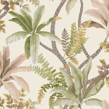 Saranda Sage/Coral 91820