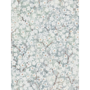 Hanami 9184