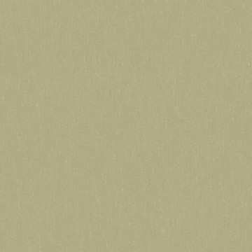 Fresh Olive 4348