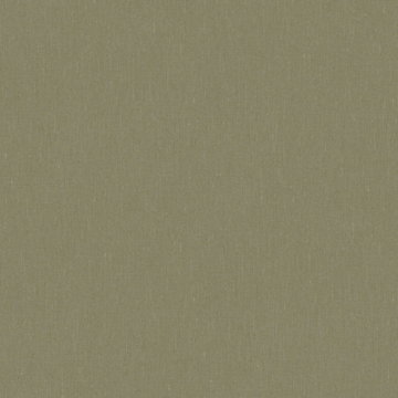 Deep Olivi 4349