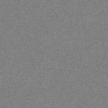Canvas Graphite 6119