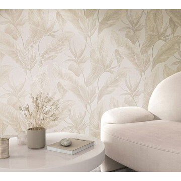 muse 36462-amb