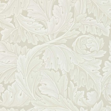 Acanthus Chalk 212554