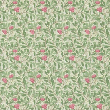 Arbutus Olive/Pink 214720