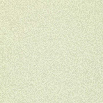 Standen Canvas DGW148101 (210462/wr8045/1)