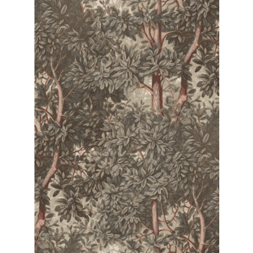 Charles Clay S10711 (kuvatapetti)