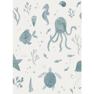 Della Ocean Blue 243-36