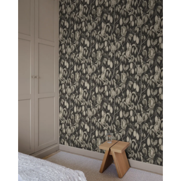 elliot charcoal amb2