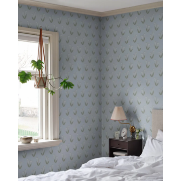 lilly light blue amb