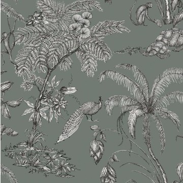 Moa Juniper 240-68