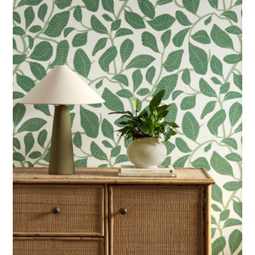 Sweet Bay in Forest Scion amb (2) Living