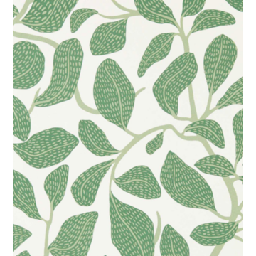 Sweet Bay Forest 113268