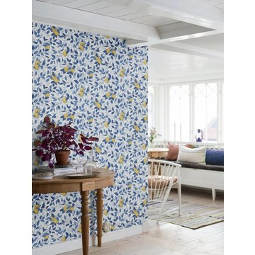 6150 citroträd amb (2)