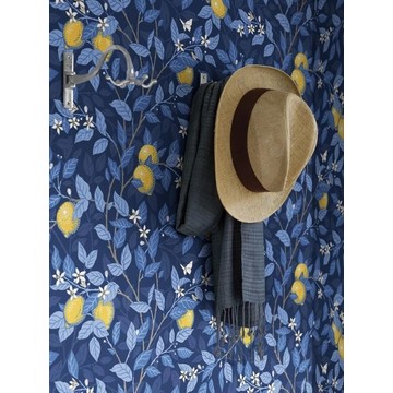 6151 citronträd amb (2)