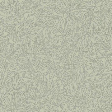 Salix Alba 7787