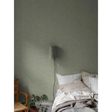 7787_SalixAlba_Roomshot_1