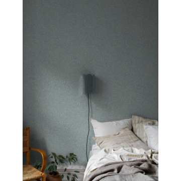 7788_SalixAlba_Roomshot_1