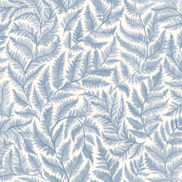 Ferns 7790