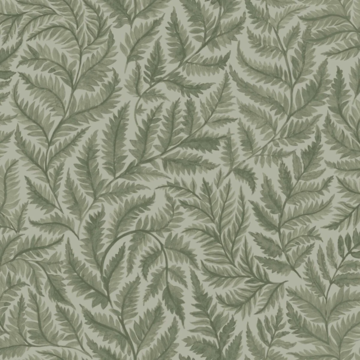 Ferns 7792