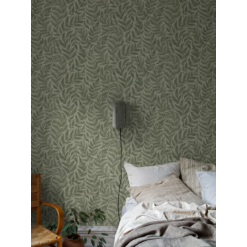 7792_Ferns_Roomshot_1