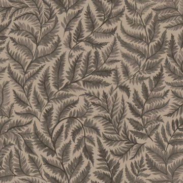Ferns 7793