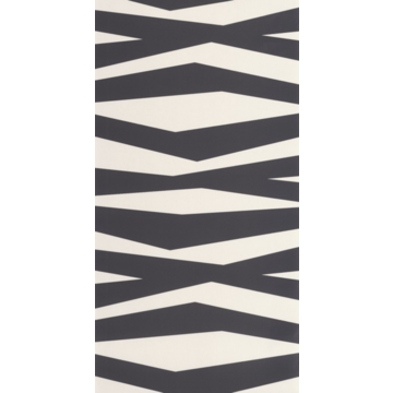 Zebra Game GAME 20063 95 95