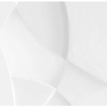 plaster CASELIO_106380027_closeup